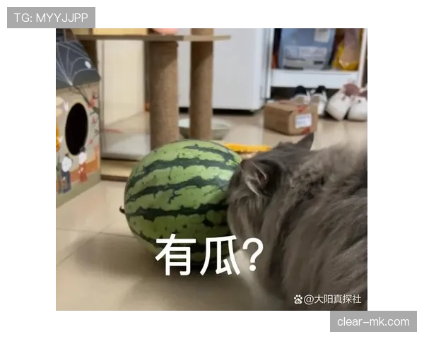 苏亚雷斯晒带娃视频,邻居阳台的吃瓜表情比他家泳池还抢镜 苏亚雷斯晒带娃视频,邻居阳台的吃瓜表情比他家泳池还抢镜